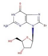8-Bromo-2'-deoxyguanosine, 99%