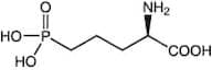 (R)-(-)-2-Amino-5-phosphonopentanoic acid, 99%