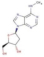 N6-Methyl-2'-deoxyadenosine, 99%