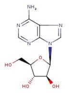 9-β-D-Arabinofuranosyladenine, 99%