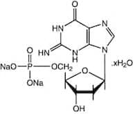 2'-Deoxyguanosine-5'-monophosphate disodium salt hydrate, 98%