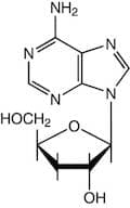 3'-Deoxyadenosine, 98%