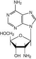 2'-Amino-2'-deoxyadenosine, 98%