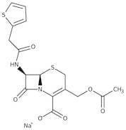 Cephalothin sodium salt