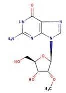 2'-O-Methylguanosine, 99%