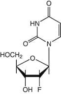 2'-Fluoro-2'-deoxyuridine, 97%