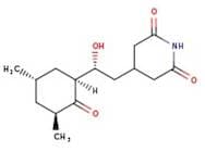 Cycloheximide solution, 100mg/mL in DMSO, 0.2 micron filtered