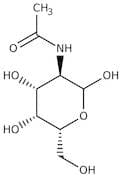 N-Acetyl-D-galactosamine