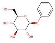 Phenyl β-D-glucopyranoside, 98%