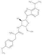 Puromycin dihydrochloride, 10 mg/ml in distilled water, sterile-filtered