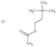 Acetylcholine chloride, 98+%