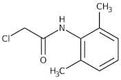 2-Chloro-2',6'-dimethylacetanilide, 99%