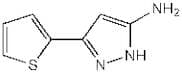 5-Amino-3-(2-thienyl)-1H-pyrazole, 98%