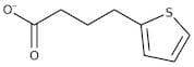 4-(2-Thienyl)butyric acid, 98%