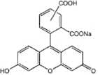 5(6)-Carboxyfluorescein, mixture of isomers, 97%