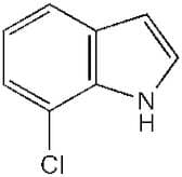 7-Chloroindole, 98%