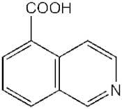 Isoquinoline-5-carboxylic acid, 96%