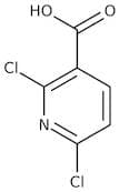 2,6-Dichloronicotinic acid, 97%