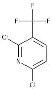 2,6-Dichloro-3-(trifluoromethyl)pyridine, 98%