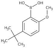 5-tert-Butyl-2-methoxybenzeneboronic acid, 98+%