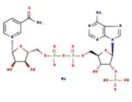 β-Nicotinamide adenine dinucleotide phosphate monosodium salt