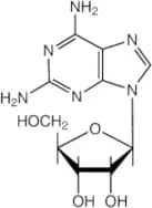 2-Aminoadenosine, 97%