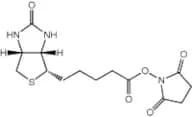(+)-Biotin N-succinimidyl ester, 98%