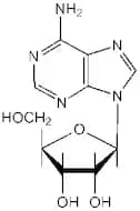 Adenosine, 99%