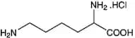 DL-Lysine monohydrochloride, 99%