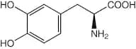 3,4-Dihydroxy-L-phenylalanine, 98+%
