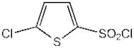 5-Chlorothiophene-2-sulfonyl chloride, 97%