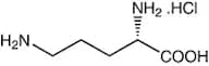 L-Ornithine hydrochloride, 99%