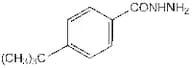 4-tert-Butylbenzhydrazide, 98+%