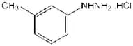 m-Tolylhydrazine hydrochloride, 98%