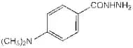 4-Dimethylaminobenzhydrazide, 98+%