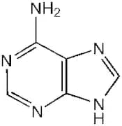Adenine, 99%