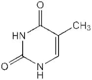 Thymine, 97%