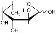 L-(-)-Fucose, 98%