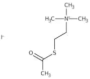 S-Acetylthiocholine iodide, 98%