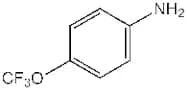 4-(Trifluoromethoxy)aniline, 98%