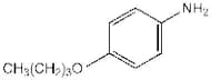 4-n-Butoxyaniline, 97%