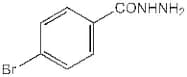 4-Bromobenzhydrazide, 98+%