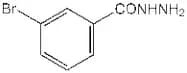 3-Bromobenzhydrazide, 98+%