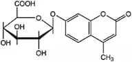 4-Methylumbelliferyl-β-D-glucuronide, 98%