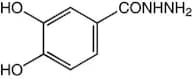 3,4-Dihydroxybenzhydrazide, 97%