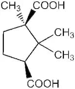 (1R,3S)-(+)-Camphoric acid, 98+%
