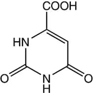 Orotic acid, anhydrous, 97%