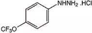 4-(Trifluoromethoxy)phenylhydrazine hydrochloride, 98%