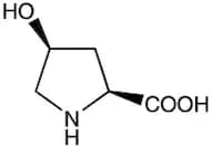 cis-4-Hydroxy-L-proline, 99%