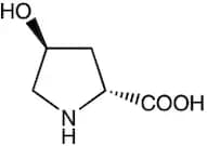 trans-4-Hydroxy-D-proline, 97%
